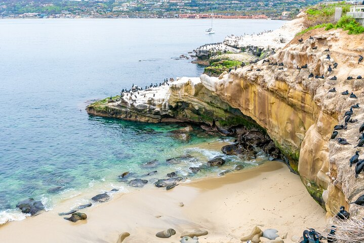 The Best of La Jolla Walking Tour: Sip, Savor & Sea in La Jolla